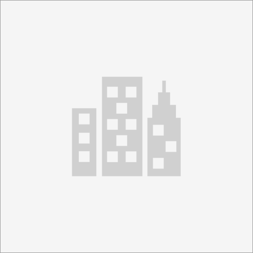 Excelsior Safety Solutions